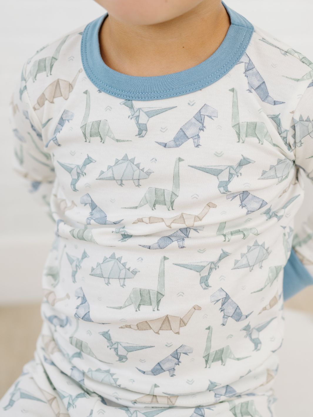 Origami Dinos Long Pajamas - Blue